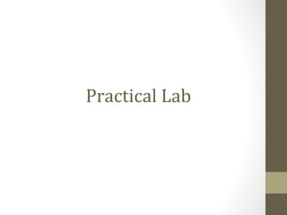 Practical Lab
 
