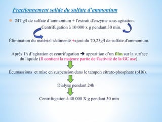 Fractionnement solide du sulfate d’ammonium
 247 g/l de sulfate d’ammonium + l'extrait d'enzyme sous agitation.
Centrifugation à 10 000 x g pendant 30 min.
Élimination du matériel sédimenté +ajout du 70,25g/l de sulfate d'ammonium.
Après 1h d’agitation et centrifugation  apparition d’un film sur la surface
du liquide (Il contient la majeure partie de l'activité de la GC ase).
Écumassions et mise en suspension dans le tampon citrate-phosphate (pH6).
Dialyse pendant 24h
Centrifugation à 40 000 X g pendant 30 min
 