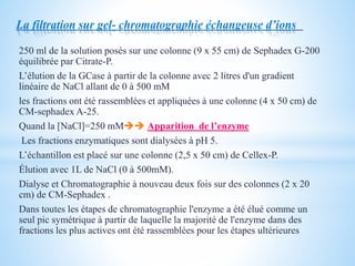 La filtration sur gel- chromatographie échangeuse d’ions
250 ml de la solution posés sur une colonne (9 x 55 cm) de Sephadex G-200
équilibrée par Citrate-P.
L’élution de la GCase à partir de la colonne avec 2 litres d'un gradient
linéaire de NaCl allant de 0 à 500 mM
les fractions ont été rassemblées et appliquées à une colonne (4 x 50 cm) de
CM-sephadex A-25.
Quand la [NaCl]=250 mM Apparition de l’enzyme
Les fractions enzymatiques sont dialysées à pH 5.
L’échantillon est placé sur une colonne (2,5 x 50 cm) de Cellex-P.
Élution avec 1L de NaCl (0 à 500mM).
Dialyse et Chromatographie à nouveau deux fois sur des colonnes (2 x 20
cm) de CM-Sephadex .
Dans toutes les étapes de chromatographie l'enzyme a été élué comme un
seul pic symétrique à partir de laquelle la majorité de l'enzyme dans des
fractions les plus actives ont été rassemblées pour les étapes ultérieures
 