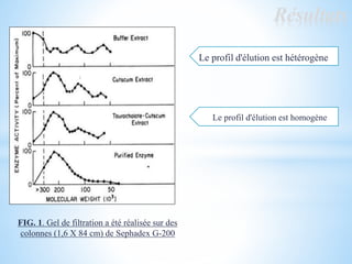 Résultats
FIG. 1. Gel de filtration a été réalisée sur des
colonnes (1,6 X 84 cm) de Sephadex G-200
Le profil d'élution est hétérogène
Le profil d'élution est homogène
 