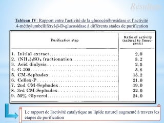 Résultats
Tableau IV: Rapport entre l'activité de la glucocérébrosidase et l’activité
4-méthylumbelliféryl-β-D-glucosidase à différents stades de purification
Le rapport de l'activité catalytique au lipide naturel augmenté à travers les
étapes de purification
 