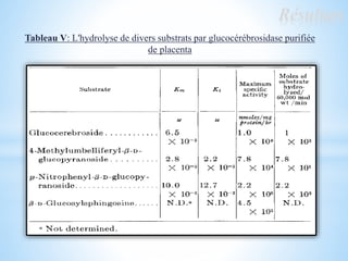 Résultats
Tableau V: L'hydrolyse de divers substrats par glucocérébrosidase purifiée
de placenta
 