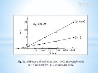 Fig. 6: Inhibition de l'hydrolyse du (1-14C) glucocérébroside
par p-aminophényl-β-D-glucopyranoside.
Résultats
 