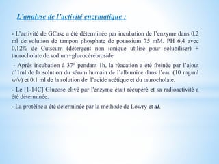L’analyse de l’activité enzymatique :
- L’activité de GCase a été déterminée par incubation de l’enzyme dans 0.2
ml de solution de tampon phosphate de potassium 75 mM. PH 6,4 avec
0,12% de Cutscum (détergent non ionique utilisé pour solubiliser) +
taurocholate de sodium+glucocérébroside.
- Après incubation à 37° pendant 1h, la réacation a été freinée par l’ajout
d’1ml de la solution du sérum humain de l’albumine dans l’eau (10 mg/ml
w/v) et 0.1 ml de la solution de l’acide acétique et du taurocholate.
- Le [1-14C] Glucose clivé par l'enzyme était récupéré et sa radioactivité a
été déterminée.
- La protéine a été déterminée par la méthode de Lowry et al.
 