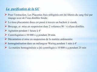 La purification de la GC
 Pour l’extraction, Les Placentas frais réfrigérés ont été libérés du sang fixé par
rinçage avec de l’eau distillée froide.
 Le tissu placentaire doux est passé à travers un hachoir à viande
 Broyage, et mise en suspension dans 2 volumes (W / v) d'eau distillée.
 Agitation pendant 1 heure à 4°
 Centrifugation à 10 000 x g pendant 20 min.
 Décantation et mise en suspension de la matière sédimentée.
 homogénéisation dans un mélangeur Waring pendant 1 min à 4°
 La matière homogénéisée a été centrifugée à 10 000 x g pendant 25 min
 
