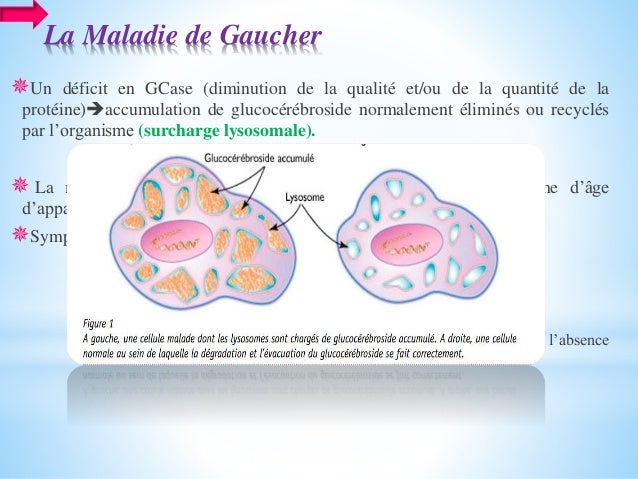 Isolation and characterization of the glucocerebrosidase from human p…