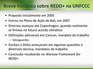 Breve histórico sobre REDD+ na UNFCCC
• Proposto inicialmente em 2005
• Entrou no Plano de Ação de Bali, em 2007
• Diversos avanços até Copenhagen, quando realmente
se firmou no futuro acordo climático
• Definições adicionais em Cancun, mandato de trabalho
– Salvaguardas
• Durban e Doha avançaram em algumas questões e
diretrizes técnica, mandatos de trabalho
• Conclusão resultando no Warsaw Framework for
REDD+
 