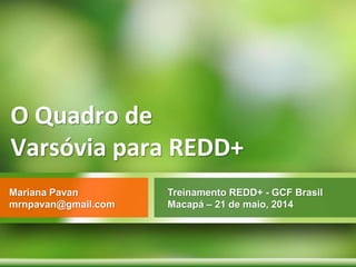 O Quadro de
Varsóvia para REDD+
Treinamento REDD+ - GCF Brasil
Macapá – 21 de maio, 2014
Mariana Pavan
mrnpavan@gmail.com
 