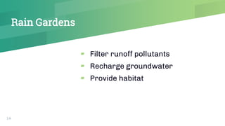 Rain Gardens
▰ Filter runoff pollutants
▰ Recharge groundwater
▰ Provide habitat
14
 
