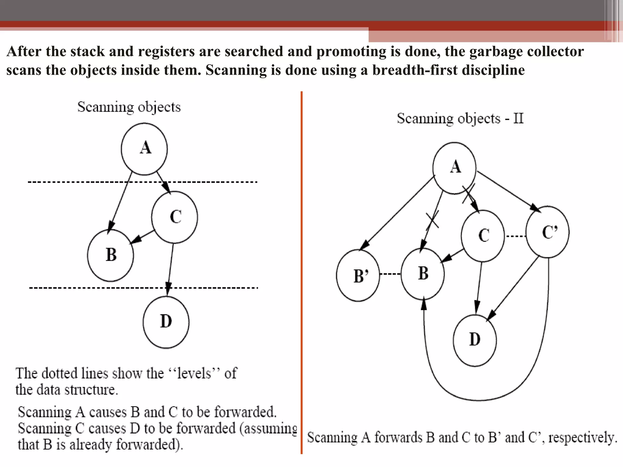 After the stack and registers are searched and promoting is done, the garbage collector scans the objects inside them. Scanning is done using a breadth-first discipline 