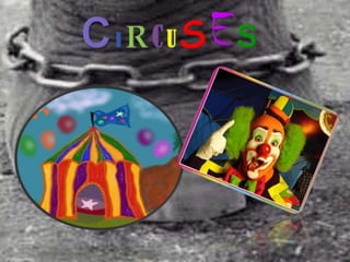 . circuses 