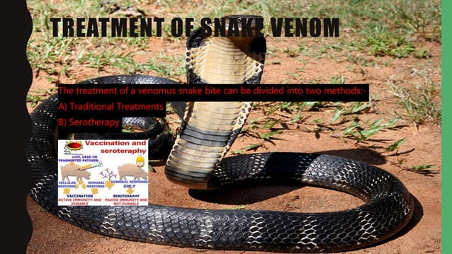 SNAKE VENOM PPT snake-venom-ppt