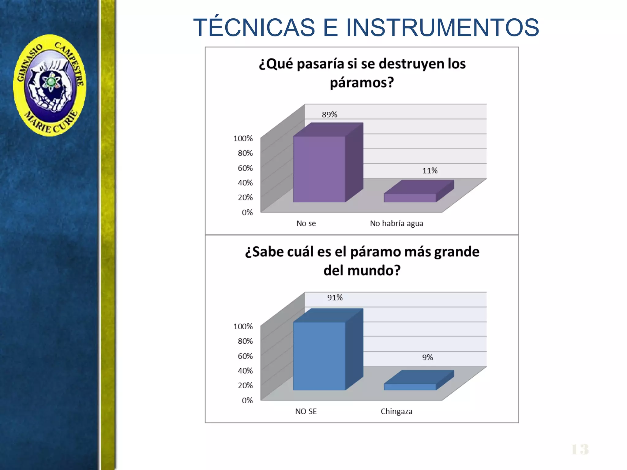TÉCNICAS E INSTRUMENTOS
13
 