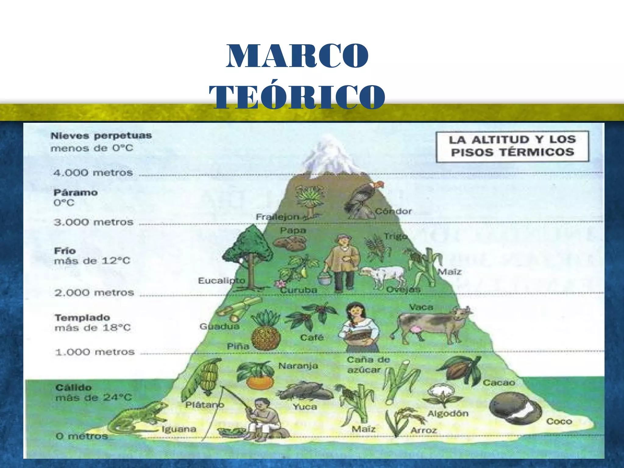 MARCO
TEÓRICO
7
 
