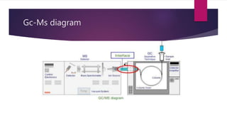 GCMS Gas Chromatography–Mass Spectrometry | PPTX