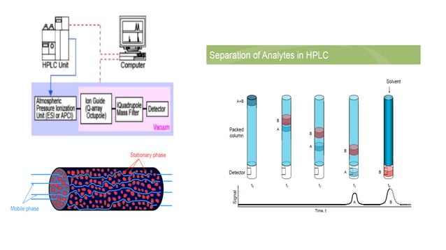 GC -MS/MS and LC MS/MS | PPT