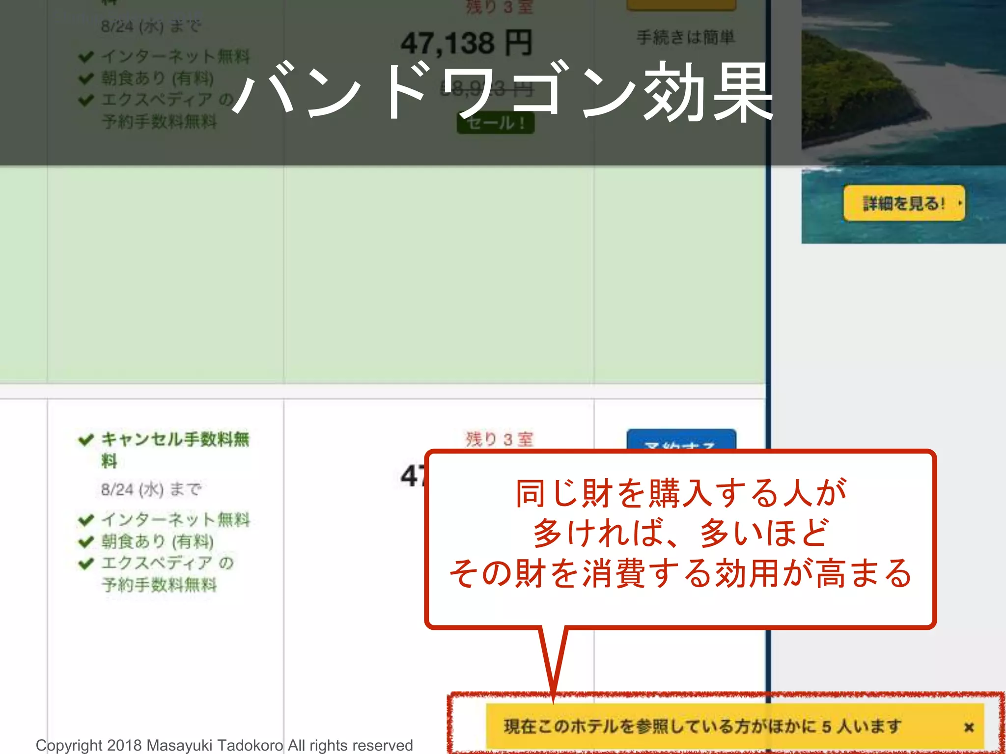 バンドワゴン効果
同じ財を購入する人が
多ければ、多いほど
その財を消費する効用が高まる
Copyright 2018 Masayuki Tadokoro All rights reserved
Startup Science 2018
 