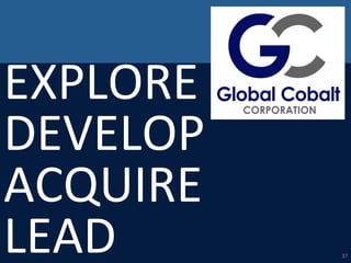 EXPLORE	
  
DEVELOP	
  
ACQUIRE	
  
LEAD	
   37	
  
 