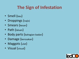 The Sign of Infestation
• Smell (bau)
• Droppings (najis)
• Smears (kesan)
• Path (laluan)
• Body parts (bahagian badan)
• Damage (kerosakan)
• Maggots (ulat)
• Visual (visual)
 