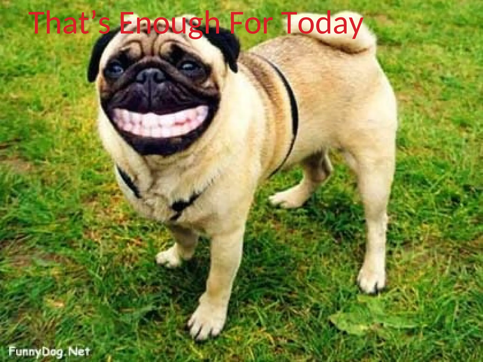 That’s Enough For Today
 