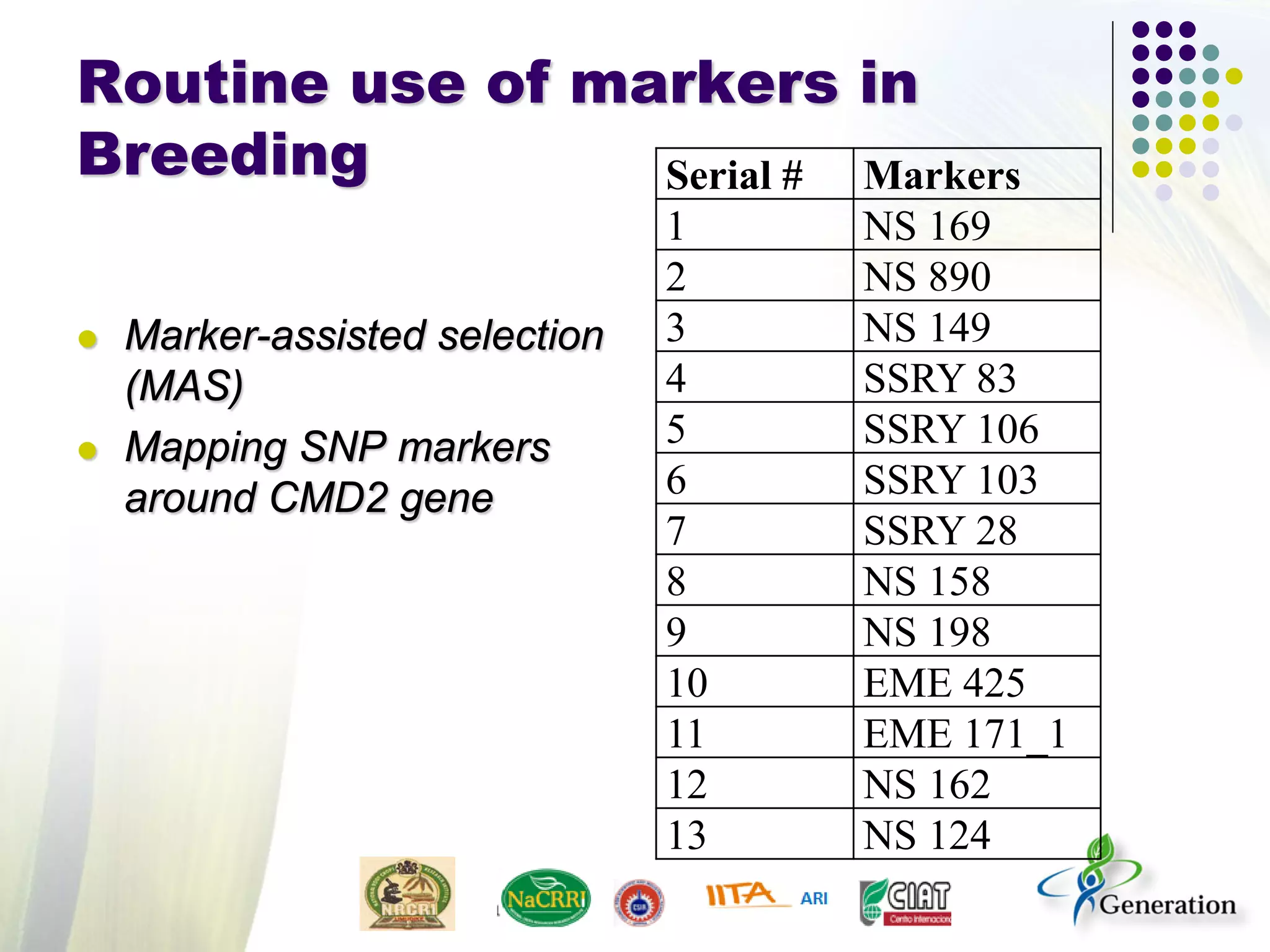 Routine use of markers in
Breeding
 Marker-assisted selection
(MAS)
 Mapping SNP markers
around CMD2 gene
Serial # Markers
1 NS 169
2 NS 890
3 NS 149
4 SSRY 83
5 SSRY 106
6 SSRY 103
7 SSRY 28
8 NS 158
9 NS 198
10 EME 425
11 EME 171_1
12 NS 162
13 NS 124
 