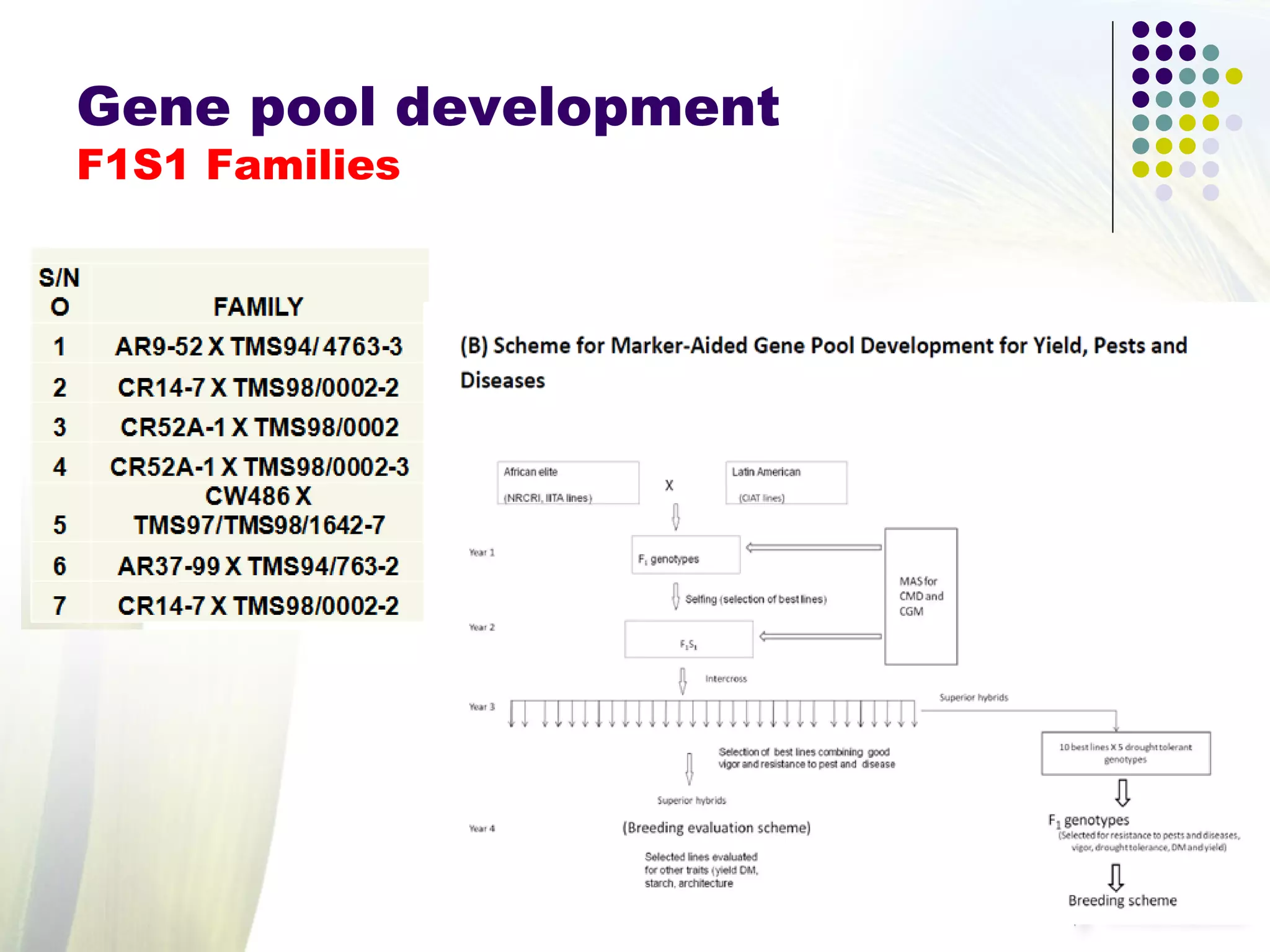 Gene pool development
F1S1 Families
 