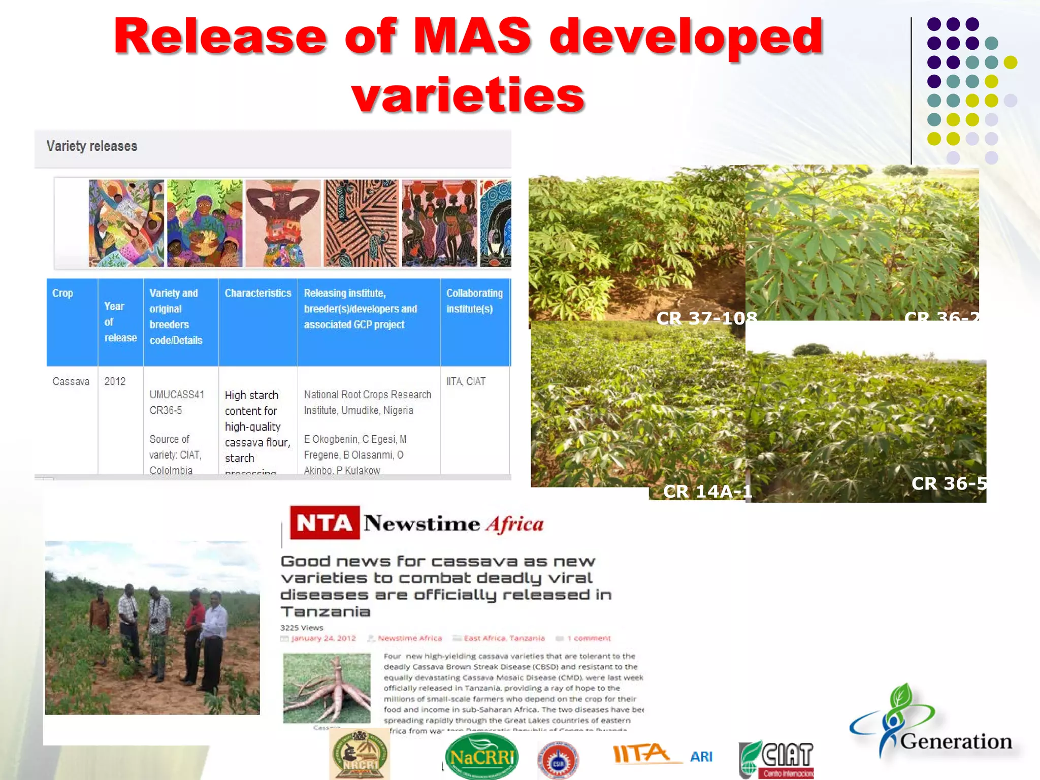 Release of MAS developed
varieties
CR 37-108 CR 36-2
CR 14A-1 CR 36-5
 