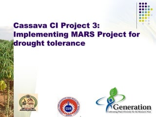 Cassava CI Project 3:
Implementing MARS Project for
drought tolerance
 