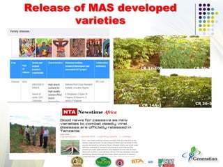 Release of MAS developed
varieties
CR 37-108 CR 36-2
CR 14A-1 CR 36-5
 
