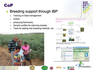 CoP
 Breeding support through IBP
 Training on Data management
 ICASS
 producing field books,
 Genetic profiles for planning crosses,
 Tools for adding new breeding methods, new data fields, and new traits
 
