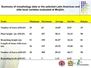 Traits Minimum Maximum Average Std Dev Dakata
Number of Scars (6MAP) 25 63 44.85 8.93 35
Plant height (m: 6MAP) 62 187 98.11 24.15 90
Branching height (m) 51 190 82.87 24.24 81
Length of stems with scars
(m) 36 119 69.29 15.68 62
Number of leaves (6MAP) 20 308 89.43 60.17 90
Branching levels (6MAP) 1 3 1.12 0.43 1
Summary of morphology data or the selected Latin American and
elite local varieties evaluated at Minjibir,
 