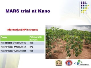 MARS trial at Kano
 
