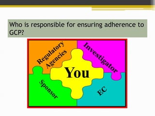 Who is responsible for ensuring adherence to
GCP?
You
 