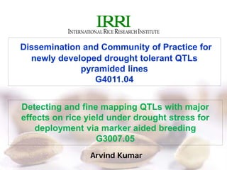 Arvind Kumar
Dissemination and Community of Practice for
newly developed drought tolerant QTLs
pyramided lines
G4011.04
Detecting and fine mapping QTLs with major
effects on rice yield under drought stress for
deployment via marker aided breeding
G3007.05
 
