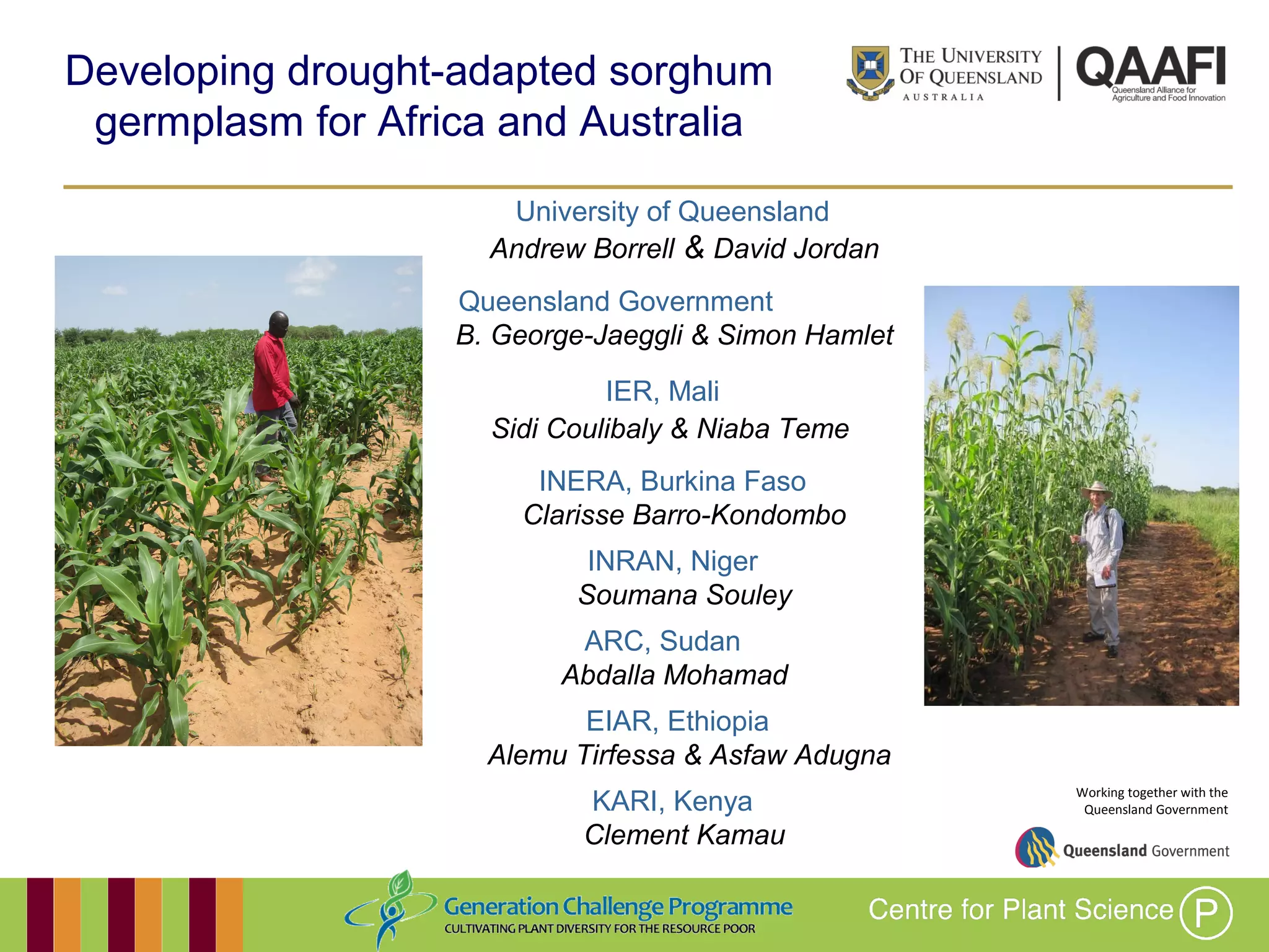 Working together with the
Queensland Government
Developing drought-adapted sorghum
germplasm for Africa and Australia
University of Queensland
Andrew Borrell & David Jordan
Queensland Government
B. George-Jaeggli & Simon Hamlet
IER, Mali
Sidi Coulibaly & Niaba Teme
INERA, Burkina Faso
Clarisse Barro-Kondombo
ARC, Sudan
Abdalla Mohamad
INRAN, Niger
Soumana Souley
EIAR, Ethiopia
Alemu Tirfessa & Asfaw Adugna
KARI, Kenya
Clement Kamau
 