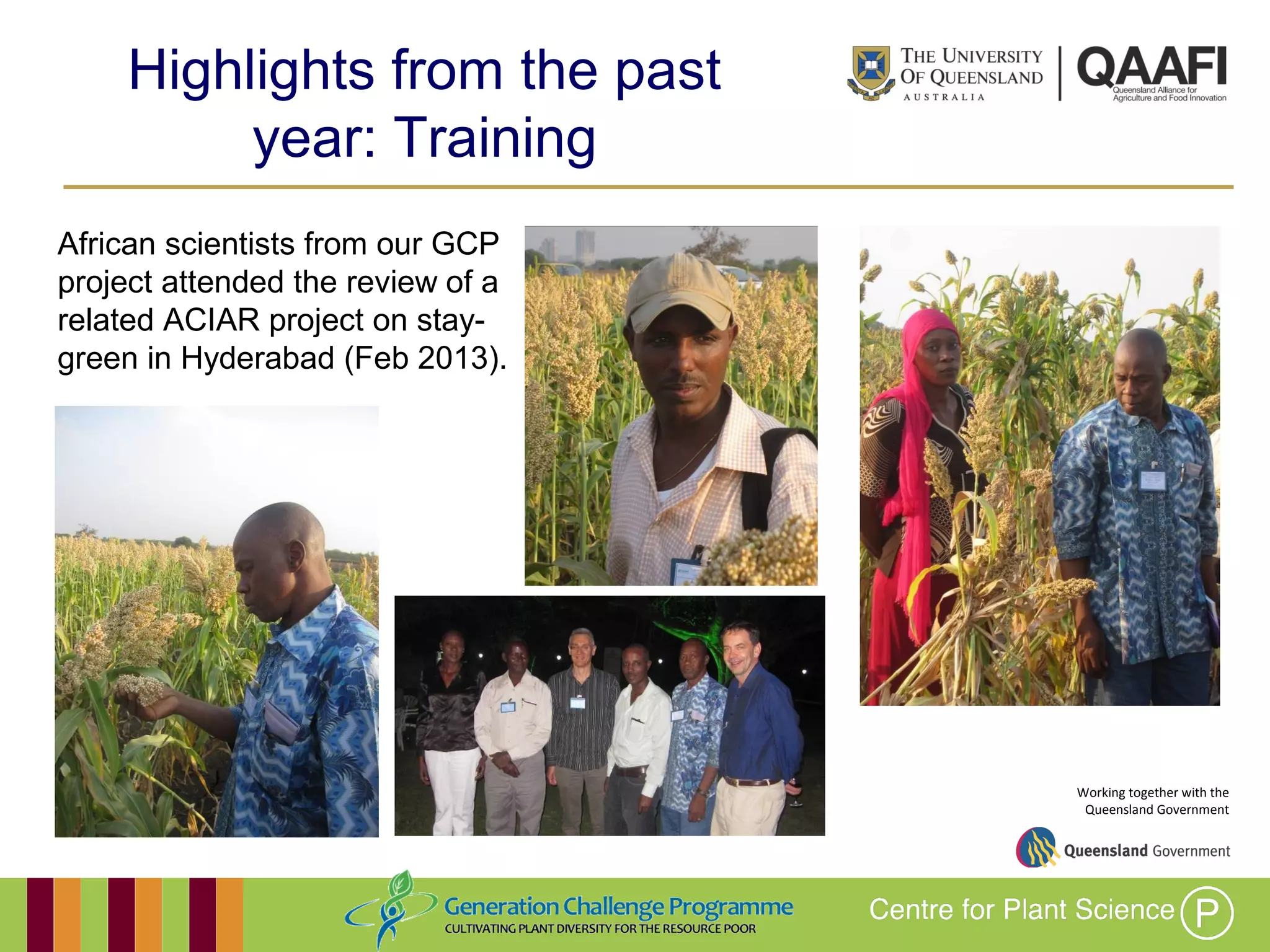 Working together with the
Queensland Government
Highlights from the past year:
Training
African scientists from our GCP
project attended the review of a
related ACIAR project on stay-
green in Hyderabad (Feb 2013).
 