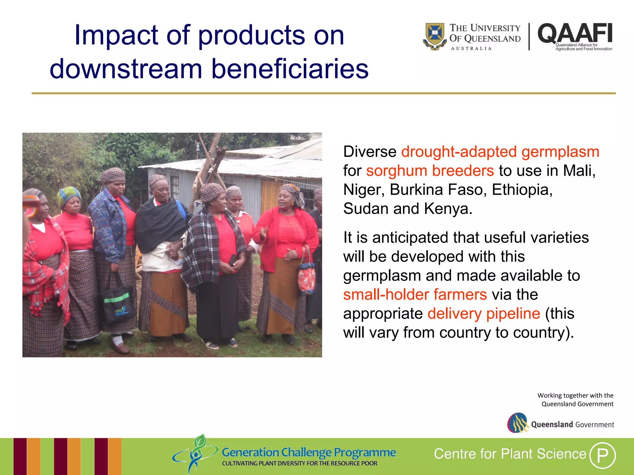 Working together with the
Queensland Government
Impact of products on
downstream beneficiaries
Diverse drought-adapted
germplasm for sorghum breeders to
use in Mali, Niger, Burkina Faso,
Ethiopia, Sudan and Kenya.
It is anticipated that useful varieties
will be developed with this
germplasm and made available to
small-holder farmers via the
appropriate delivery pipeline (this
will vary from country to country).
 