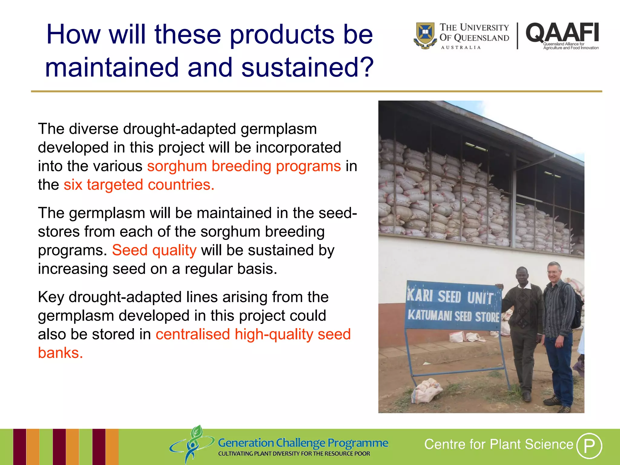 Working together with the
Queensland Government
How will these products be
maintained and sustained?
The diverse drought-adapted germplasm
developed in this project will be incorporated
into the various sorghum breeding programs
in the six targeted countries.
The germplasm will be maintained in the
seed-stores from each of the sorghum
breeding programs. Seed quality will be
sustained by increasing seed on a regular
basis.
Key drought-adapted lines arising from the
germplasm developed in this project could
also be stored in centralised high-quality seed
banks.
 