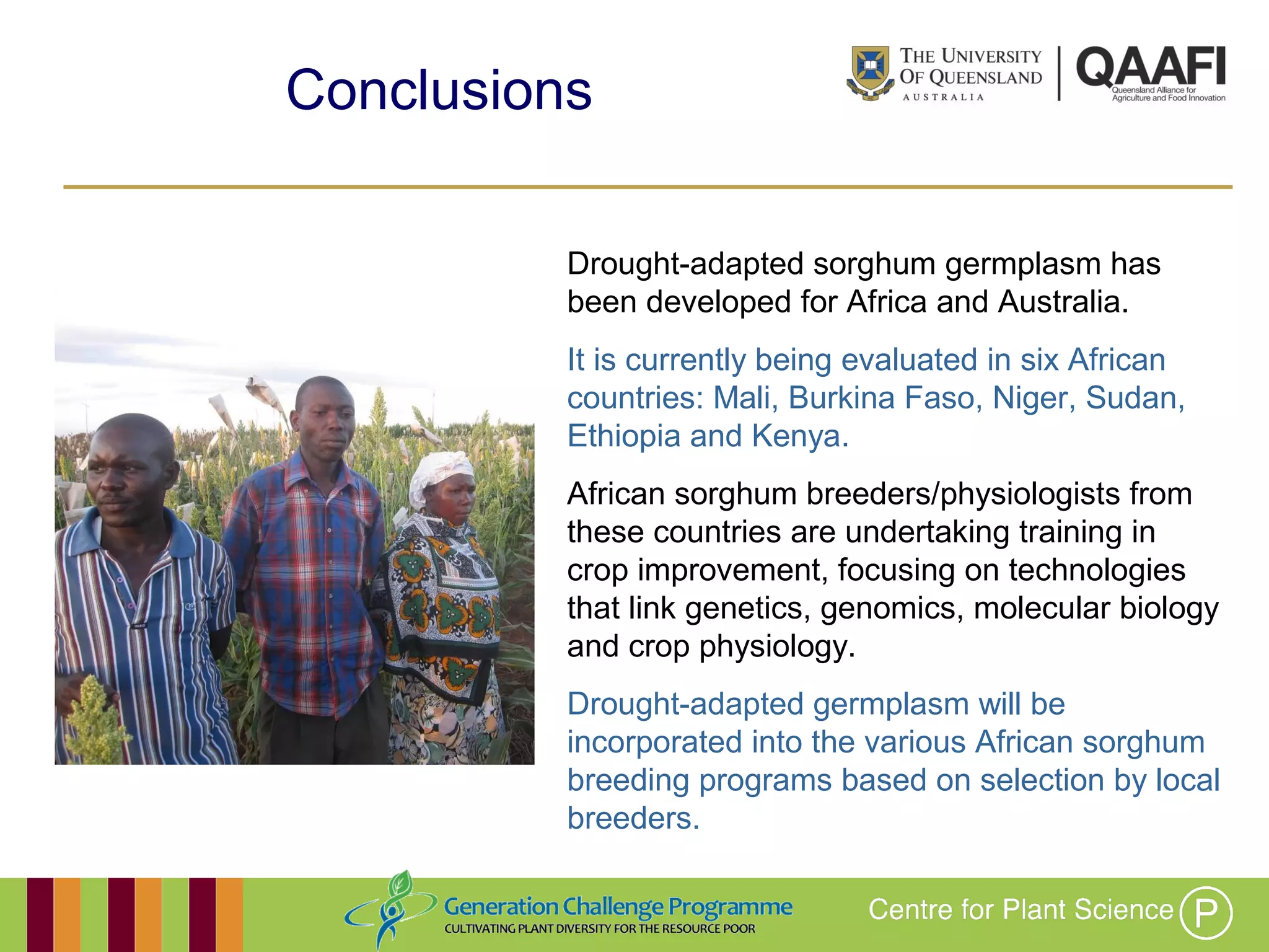 Working together with the
Queensland Government
Conclusions
Drought-adapted sorghum germplasm has
been developed for Africa and Australia.
It is currently being evaluated in six African
countries: Mali, Burkina Faso, Niger, Sudan,
Ethiopia and Kenya.
African sorghum breeders/physiologists from
these countries are undertaking training in
crop improvement, focusing on technologies
that link genetics, genomics, molecular biology
and crop physiology.
Drought-adapted germplasm will be
incorporated into the various African sorghum
breeding programs based on selection by
local breeders.
 