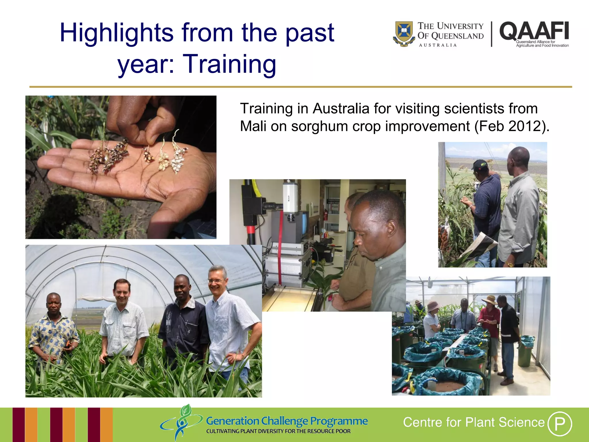Working together with the
Queensland Government
Highlights from the past year:
Training
Training in Australia for visiting scientists from
Mali on sorghum crop improvement (Feb 2012).
 