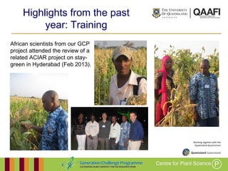 Working together with the
Queensland Government
Highlights from the past year:
Training
African scientists from our GCP
project attended the review of a
related ACIAR project on stay-
green in Hyderabad (Feb 2013).
 