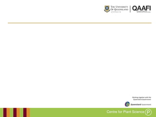 Working together with the
Queensland Government
 