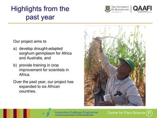 Working together with the
Queensland Government
Our project aims to
a) develop drought-adapted
sorghum germplasm for Africa
and Australia, and
b) provide training in crop
improvement for scientists in
Africa.
Over the past year, our project has
expanded to six African
countries.
Highlights from the
past year
 