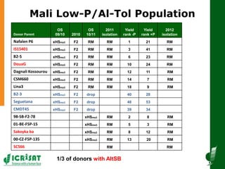 Mali Low-P/Al-Tol Population
Donor Parent
OS
09/10 2010
OS
10/11
2011
isolation
Yield
rank -P
Yield
rank +P
2012
isolation...