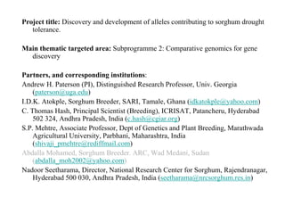Project title: Discovery and development of alleles contributing to sorghum drought
tolerance.
Main thematic targeted area: Subprogramme 2: Comparative genomics for gene
discovery
Partners, and corresponding institutions:
Andrew H. Paterson (PI), Distinguished Research Professor, Univ. Georgia
(paterson@uga.edu)
I.D.K. Atokple, Sorghum Breeder, SARI, Tamale, Ghana (idkatokple@yahoo.com)
C. Thomas Hash, Principal Scientist (Breeding), ICRISAT, Patancheru, Hyderabad
502 324, Andhra Pradesh, India (c.hash@cgiar.org)
S.P. Mehtre, Associate Professor, Dept of Genetics and Plant Breeding, Marathwada
Agricultural University, Parbhani, Maharashtra, India
(shivaji_pmehtre@rediffmail.com)
Abdalla Mohamed, Sorghum Breeder. ARC, Wad Medani, Sudan
(abdalla_moh2002@yahoo.com)
Nadoor Seetharama, Director, National Research Center for Sorghum, Rajendranagar,
Hyderabad 500 030, Andhra Pradesh, India (seetharama@nrcsorghum.res.in)
 