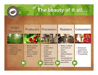 The beauty of it all...The beauty of it all...
Origin
Countries
Producers Processors Roasters Consumers
• Research
capability
• Higher foreign
exchange
earnings
• Better prices
from better
quality
• More volume
due to better
quality
• Lower
production
costs
• Improved
methods
• Better
elimination of
defects for
higher price
differentials
• Better coffees
and more of
them
• Greater
differentiation
• More
knowledge for
sourcing and
education
• Enhanced
experience
• More choice
• Traceability
 
