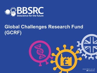 Global Challenges Research Fund
(GCRF)
 