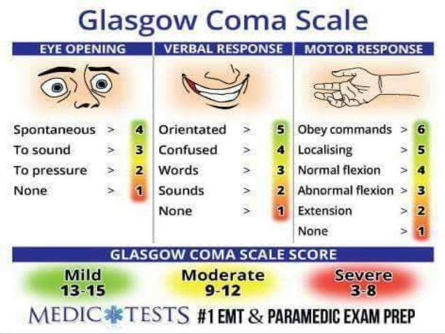 Glascow Coma Score Chart