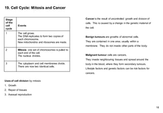 Uses of cell division by mitosis
1. Growth
2. Repair of tissues
3. Asexual reproduction
19. Cell Cycle: Mitosis and Cancer
Stage
of the
cell
cycle
Events
1 The cell grows.
The DNA replicates to form two copies of
each chromosome.
New mitochondria and ribosomes are made.
2 Mitosis: one set of chromosomes is pulled to
each end of the cell.
The nucleus divides.
3 The cytoplasm and cell membranes divide.
There are now two identical cells.
18
Cancer is the result of uncontrolled growth and division of
cells. This is caused by a change in the genetic material of
the cell.
Benign tumours are growths of abnormal cells.
They are contained in one area, usually within a
membrane. They do not invade other parts of the body.
Malignant tumour cells are cancers.
They invade neighbouring tissues and spread around the
body in the blood, where they form secondary tumours.
Lifestyle factors and genetic factors can be risk factors for
cancers.
 