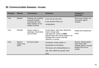 20. Communicable diseases: viruses
Pathogen Disease Transmission Symptoms Treatment or
prevention
Virus Measles Sneezing and coughing
produces droplets
containing the virus;
these droplets can be
inhaled by others.
Fever and red skin rash.
It can be fatal if there are
complications.
Most young children are
vaccinated against
measles.
Virus HIV/AIDs Sexual contact or
exchange of body fluids
such as blood.
Flu-like illness, which then attacks the
body’s immune cells.
Late stage HIV, known as AIDS,
happens when the immune system is so
damaged that it cannot deal with
infections or cancers
treated with antiretroviral
drugs.
Virus Tobacco
mosaic virus
(TMV)
By direct contact A distinctive mosaic pattern of
discoloration on the leaves.
The leaves can’t photosynthesise as
well, which affects the growth of the
plant.
Remove infected plants;
wash hands when
handling plants to prevent
transfer from one to
another
20
 